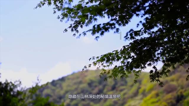 莒南县岭泉镇召开2024年度1月份企业安全生产教育培训会